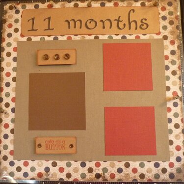 Baby Book--11th Month