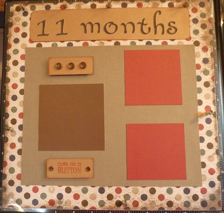 Baby Book--11th Month