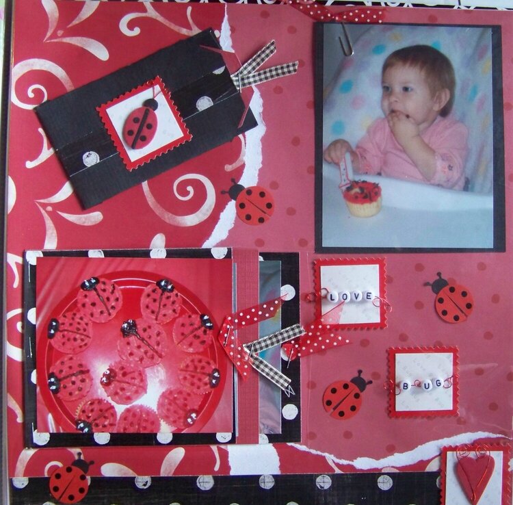 Ladybug Birthday (view 1)