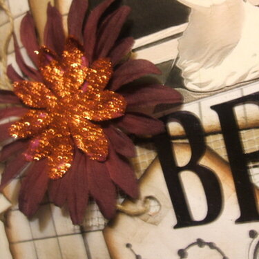 Beauty // CLOSEUP of glittered flower