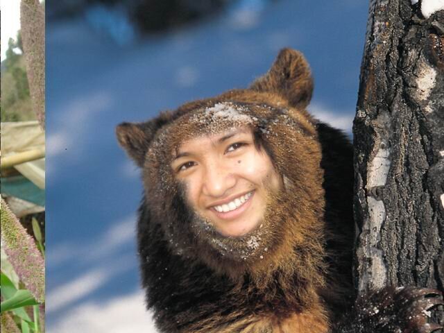 bear gug