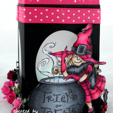 Hot Pink Witch Lantern
