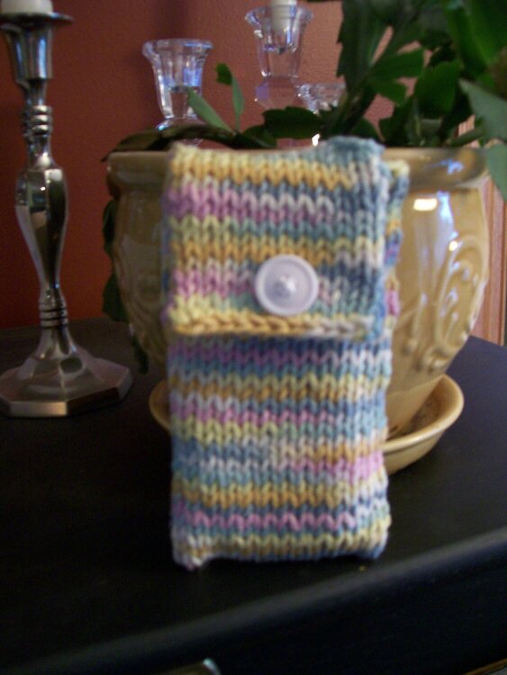 Cell phone cozy