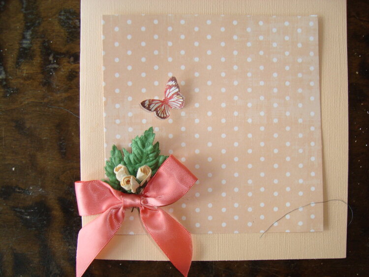 apricot summer card