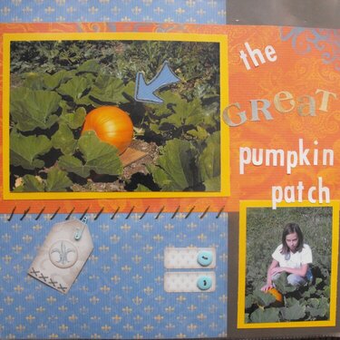 the GREAT pumpkin patch