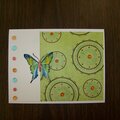 Butterfly Card