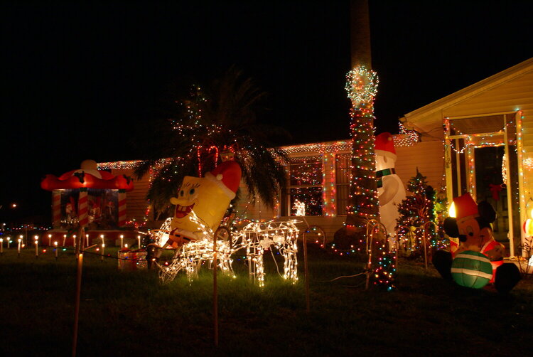 #8-Outdoor christmas lights-{9pts}