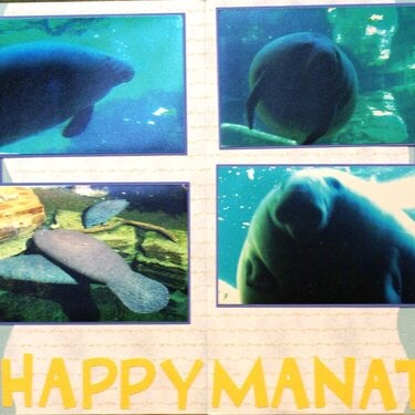 Happy Manatees