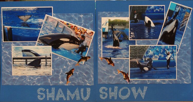 Shamu Show