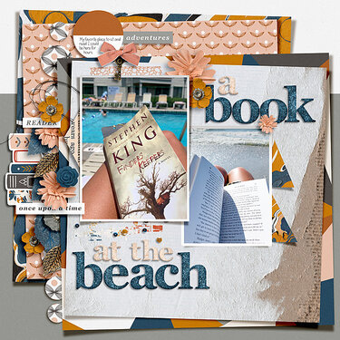 Book at the Beach