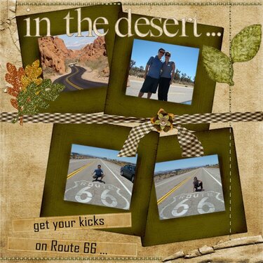 In the Desert...