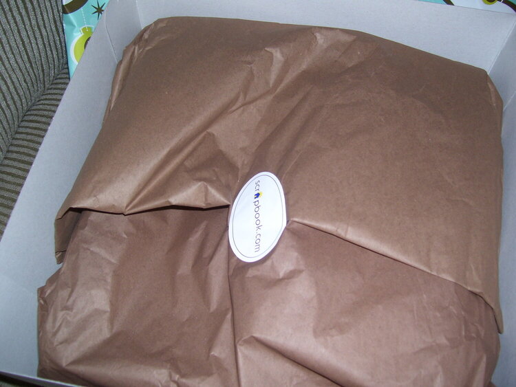 even the inside was wrapped up---