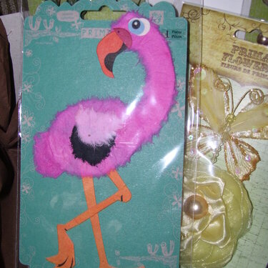 Freddy the Flamingo--from my sweet secret sis!!