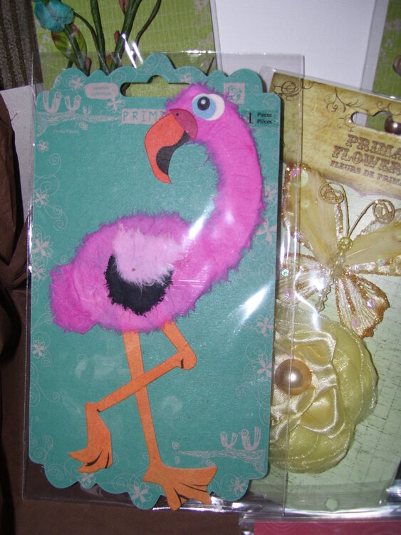 Freddy the Flamingo--from my sweet secret sis!!