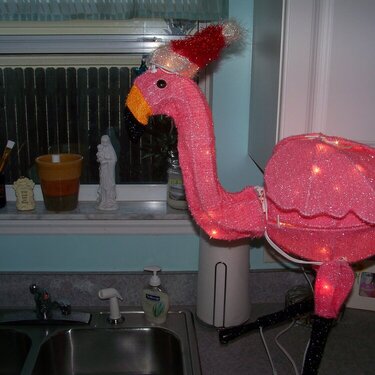 our newest addition--freddy flamingo