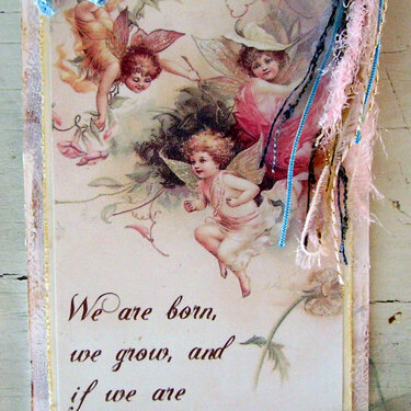 Fly hanging for swap with VintageGypsy