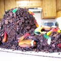 Mud Cake