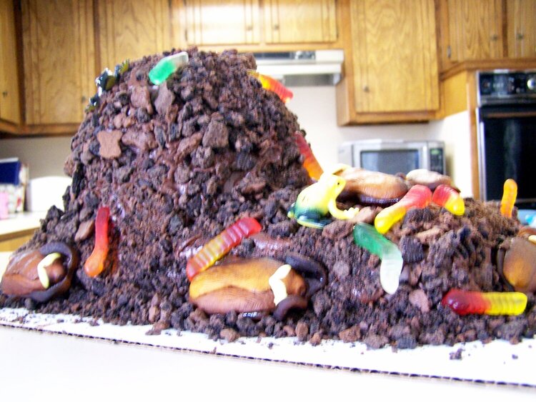 Mud Cake