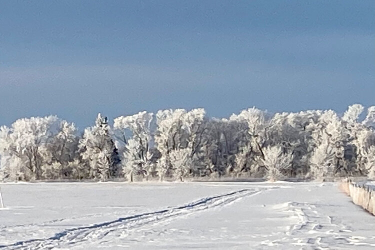 Hoar frost