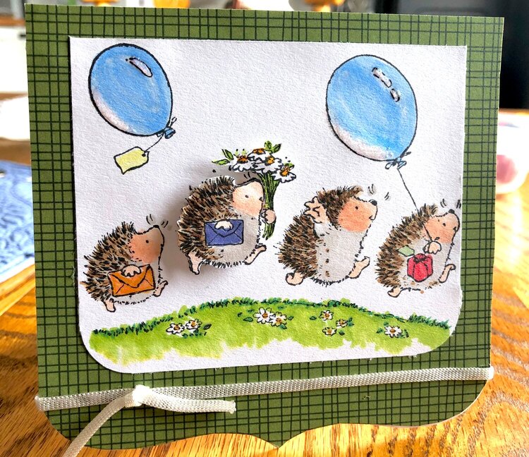 Hedgehogs and balloons