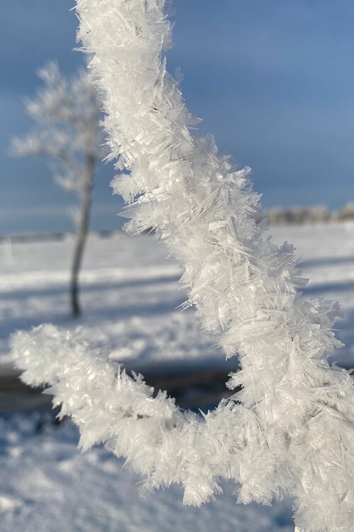 Hoar frost closeup