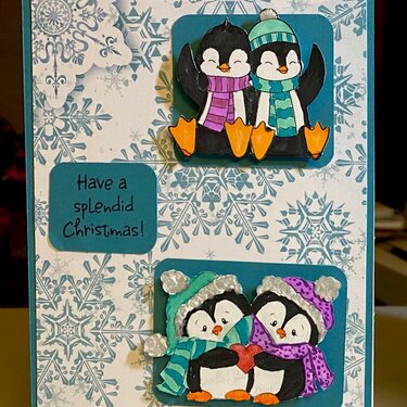 Cute penguins Christmas