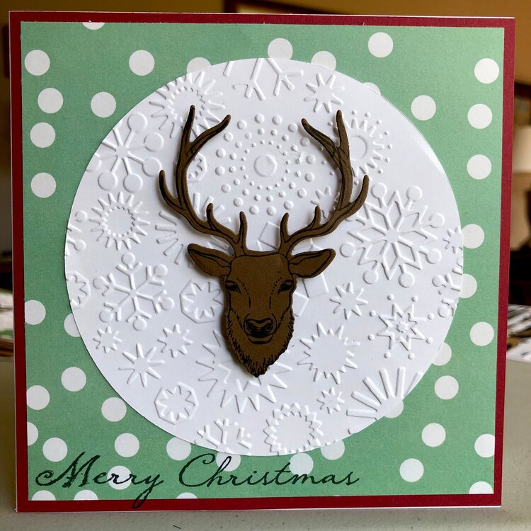 Deer Christmas card