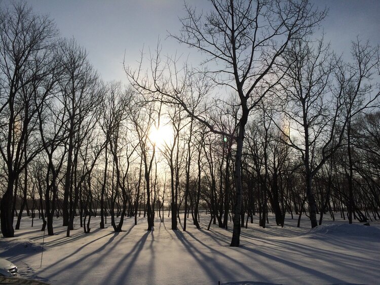 winter morning