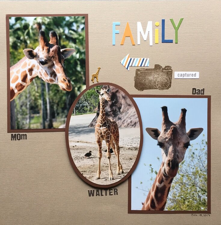 Family (giraffes)