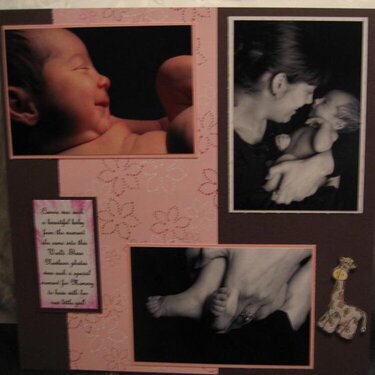 Newborn Photo Shoot Scrapbook Page