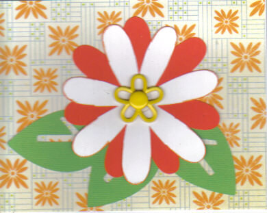 Orange and White Flower Card