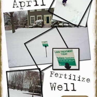 Fertilize Well