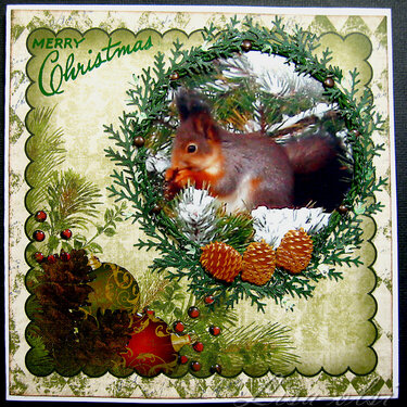 A cute squirrel, Christmas card week 11