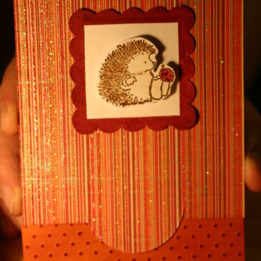 CUTE Hedgehog and a matchbook style card