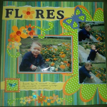 Flores (Flowers)
