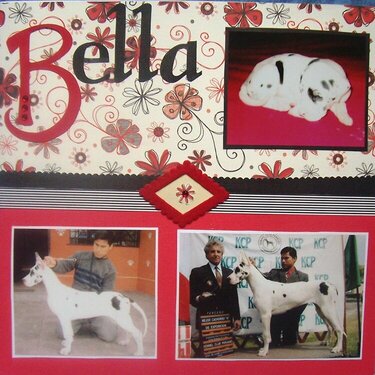 Bella  (Page 1)
