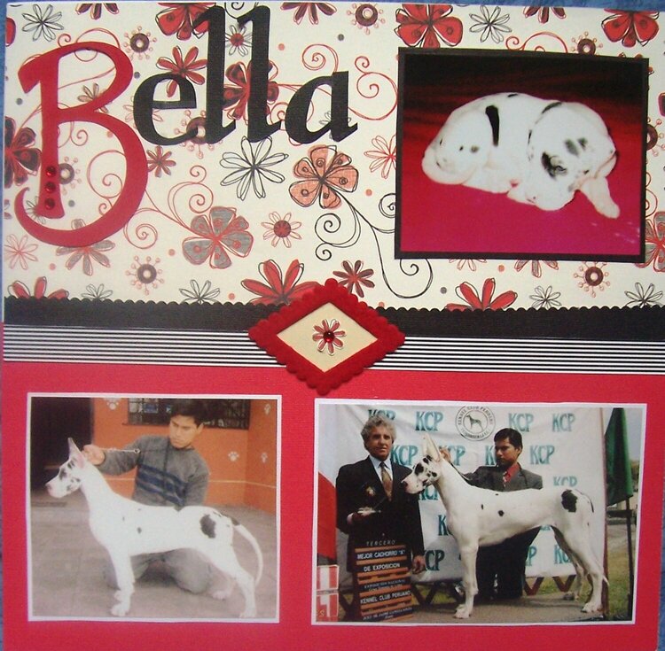 Bella  (Page 1)