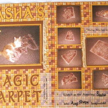 Sasha&#039;s Magic Carpet