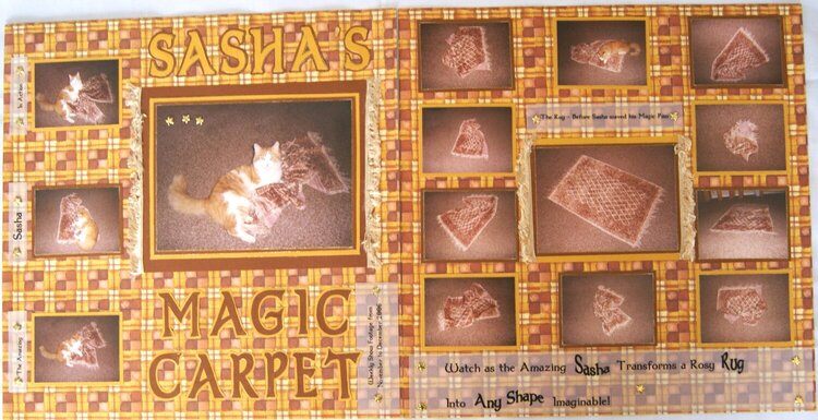 Sasha&#039;s Magic Carpet