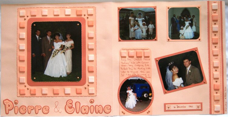 Pierre &amp; Elaine&#039;s Wedding - 1995