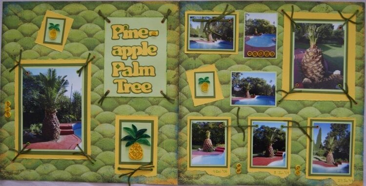 Pine Apple Palm Tree