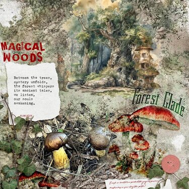 Magical Woods