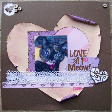 Love at 1st Meow