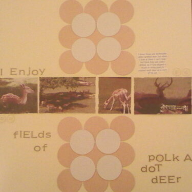 I Enjoy Fields Of Polka Dot Deer