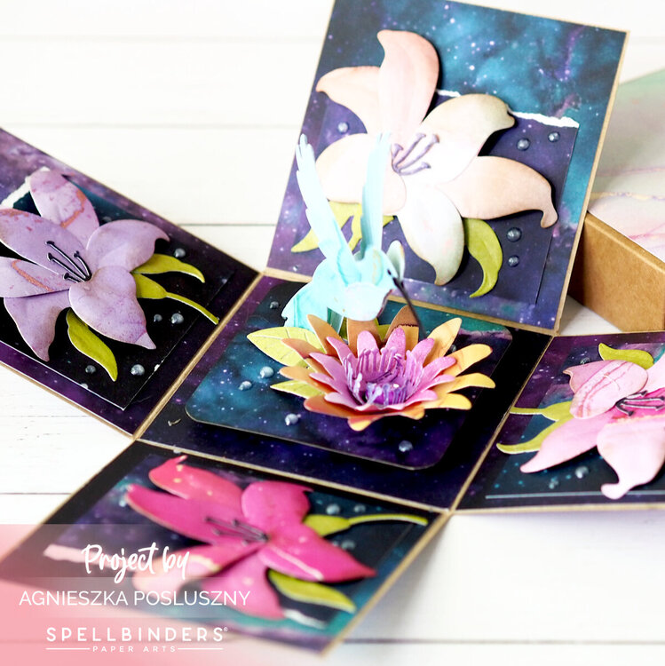 Explosion Box - Bibis Hummingbirds Collection by Spellbinders