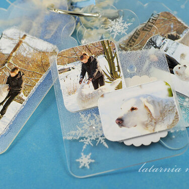 winter acrylic album