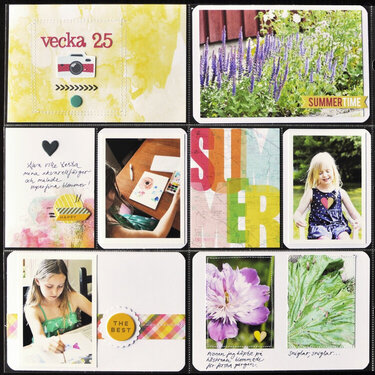 Week 25 (left page) *Cocoa Daisy July kit*