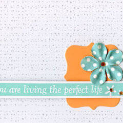 You Are Living the Perfect Life