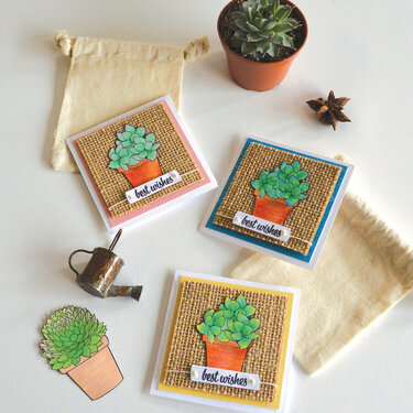 Hero Arts - On Trend with Succulents