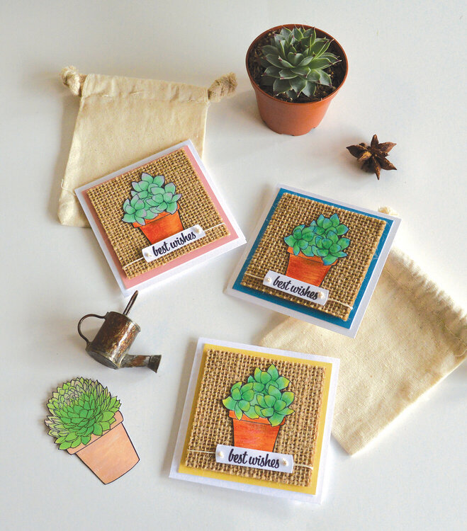 Hero Arts - On Trend with Succulents